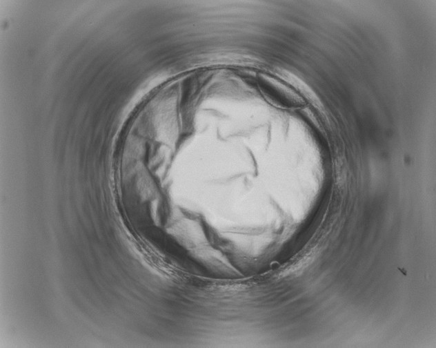 X0000069831043200606091441