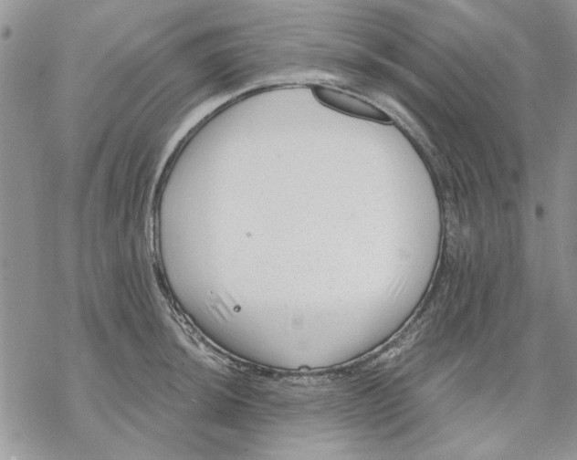 X0000069831044200606091441