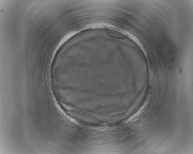 X0000069831045200606091441