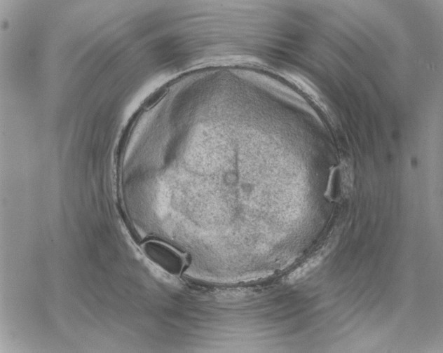 X0000069831046200606091441