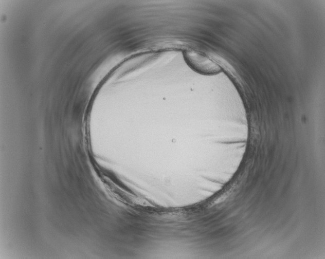 X0000069831047200606091441