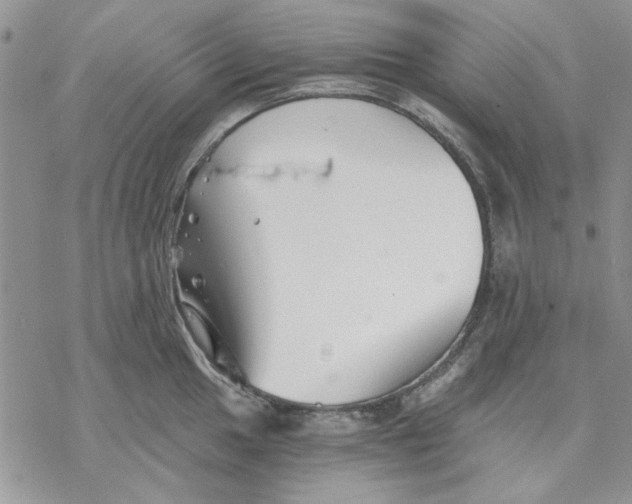 X0000069831049200606091441