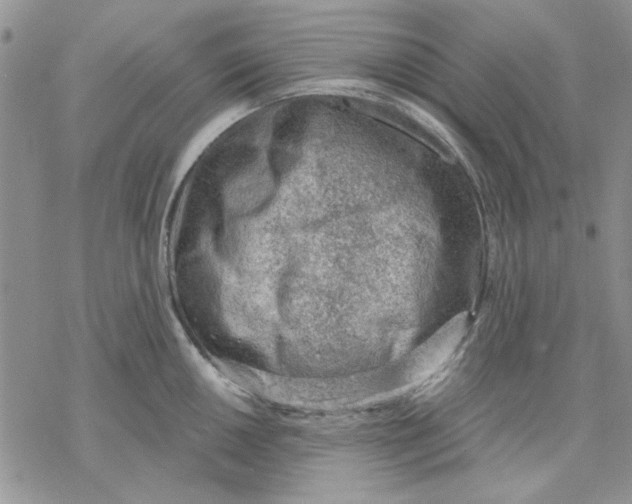 X0000069831050200606091441