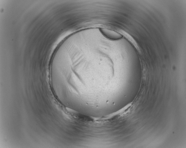 X0000069831051200606091441