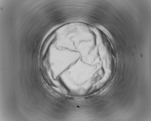 X0000069831052200606091441