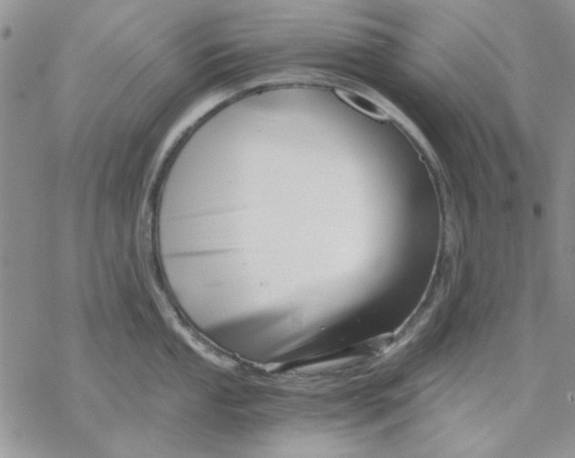 X0000069831053200606091441