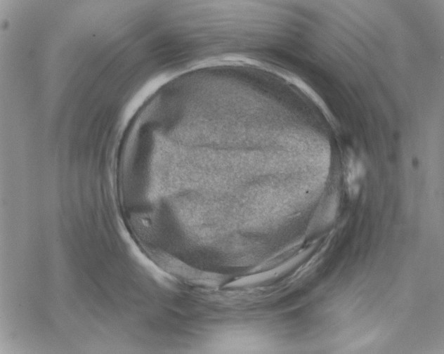 X0000069831054200606091441