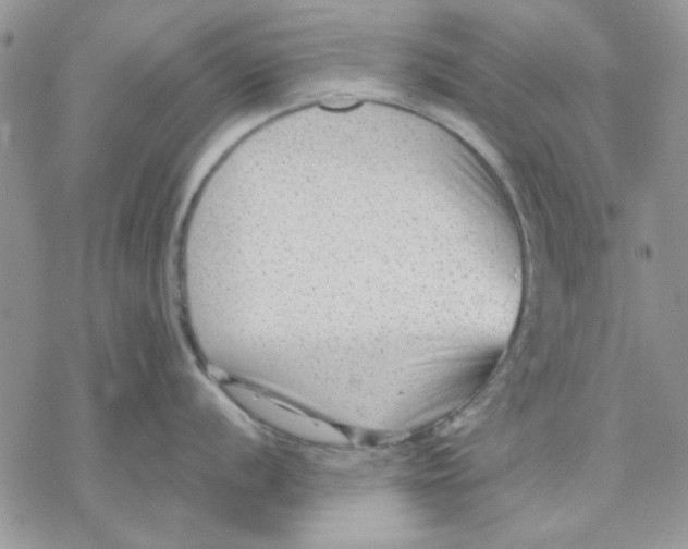 X0000069831056200606091441