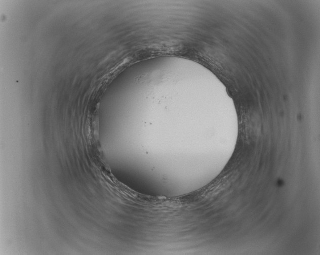 X0000069831058200606091440