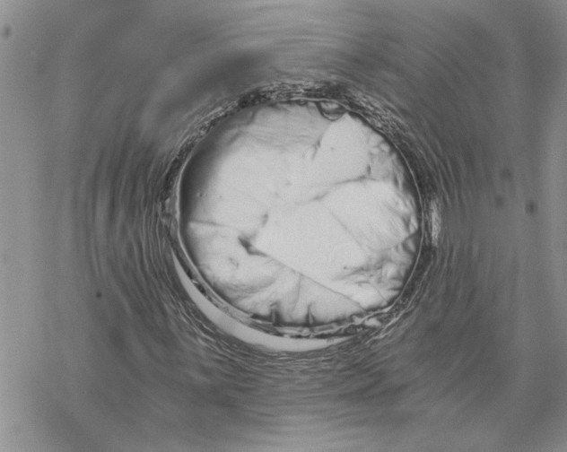 X0000069831059200606091440