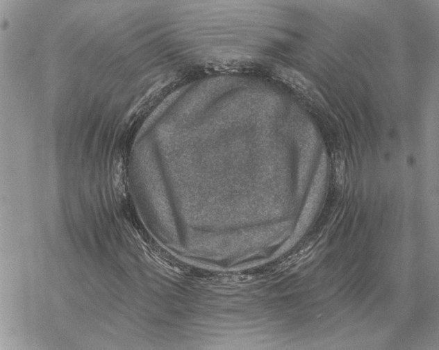 X0000069831060200606091440