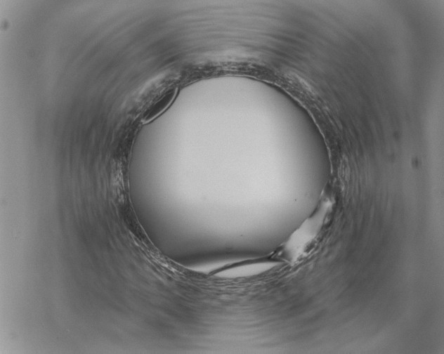 X0000069831062200606091440