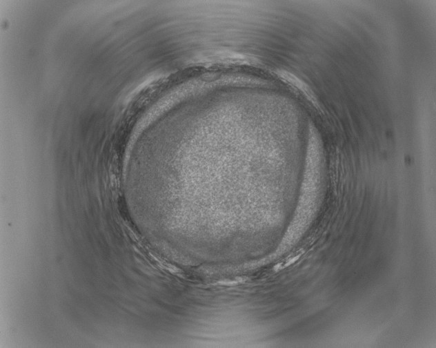 X0000069831063200606091440