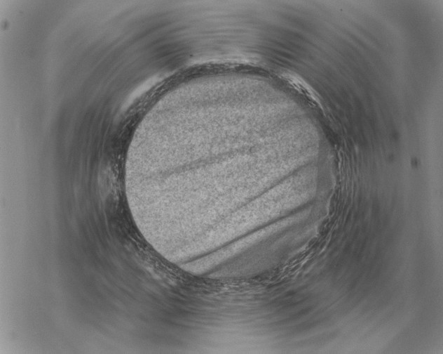 X0000069831064200606091440