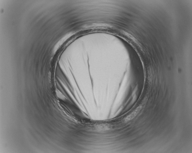 X0000069831066200606091440