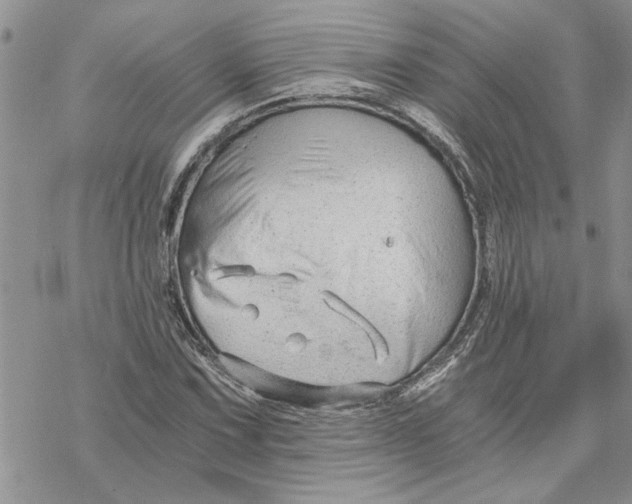 X0000069831067200606091440