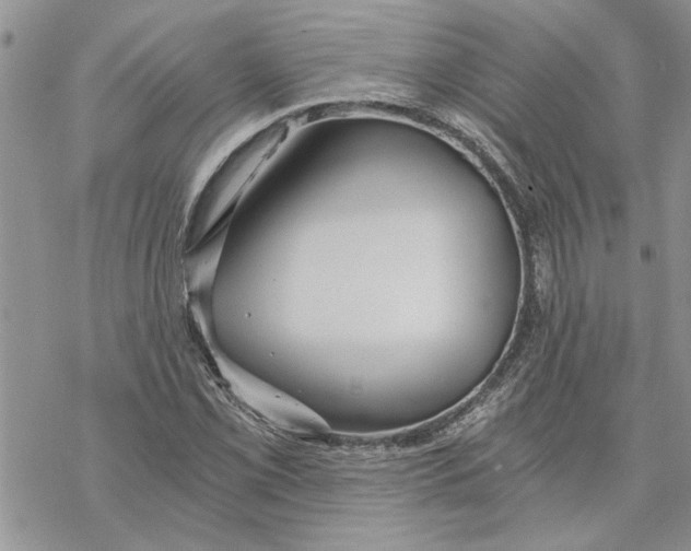 X0000069831069200606091440