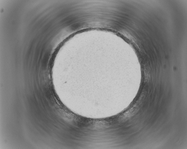 X0000069831070200606091440