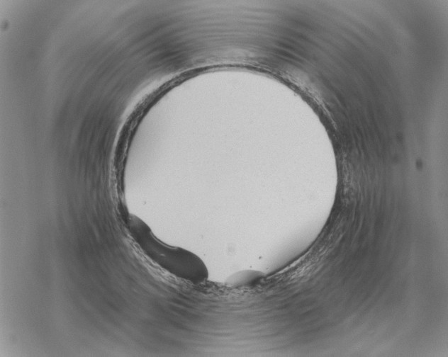 X0000069831072200606091440