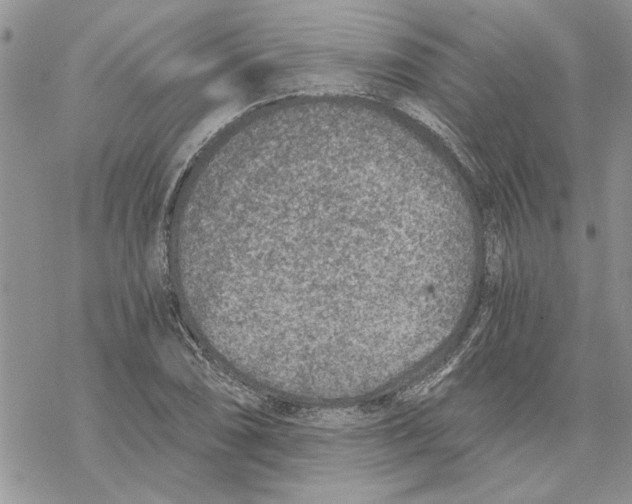 X0000069831074200606091440