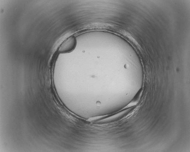 X0000069831075200606091440