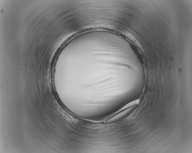 X0000069831076200606091440