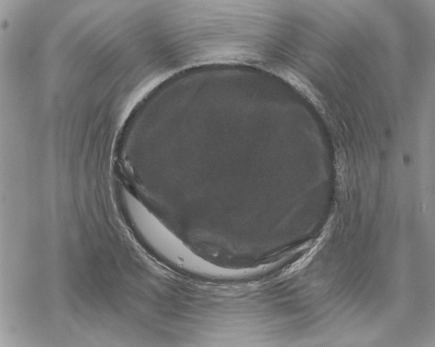 X0000069831077200606091440