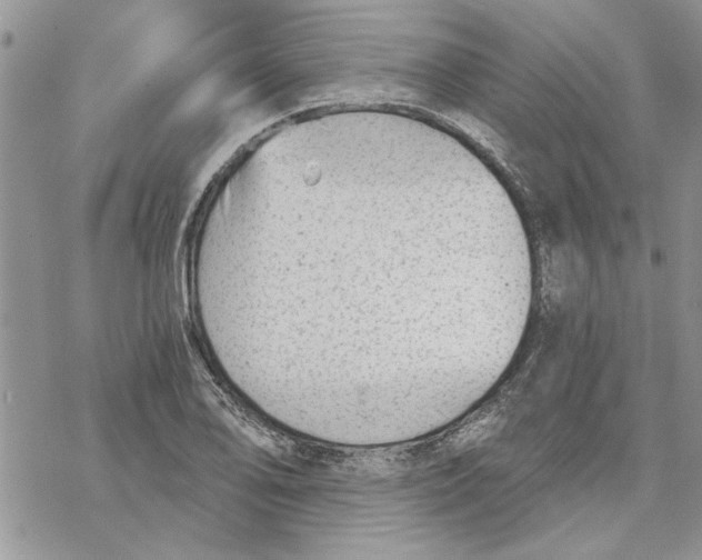 X0000069831078200606091440