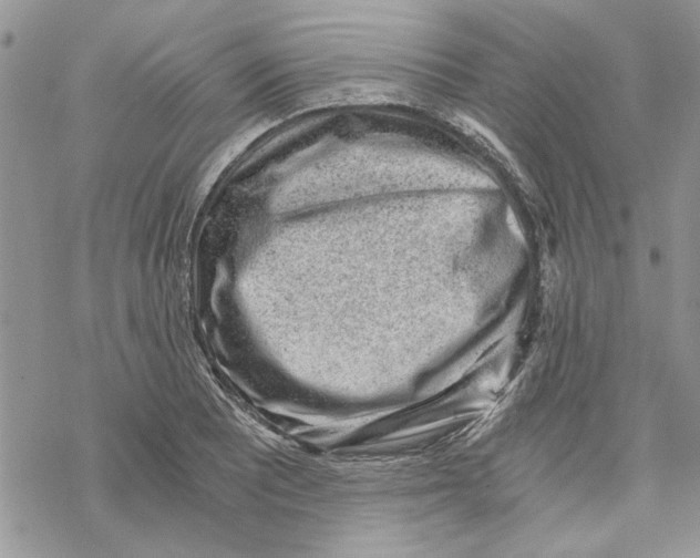 X0000069831081200606091440