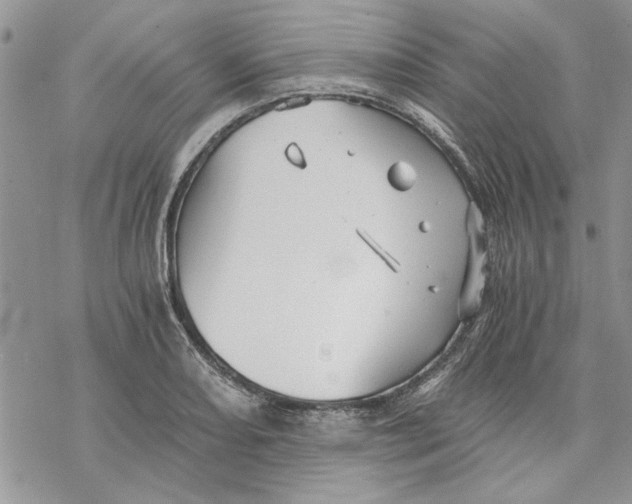 X0000069831082200606091440