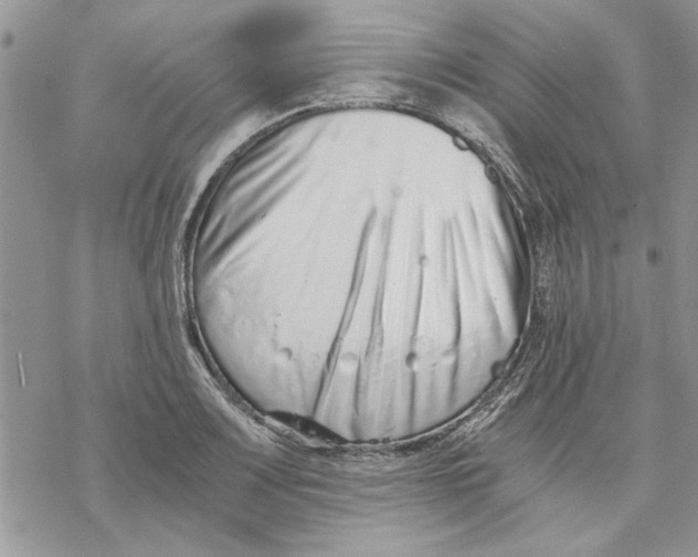 X0000069831083200606091440