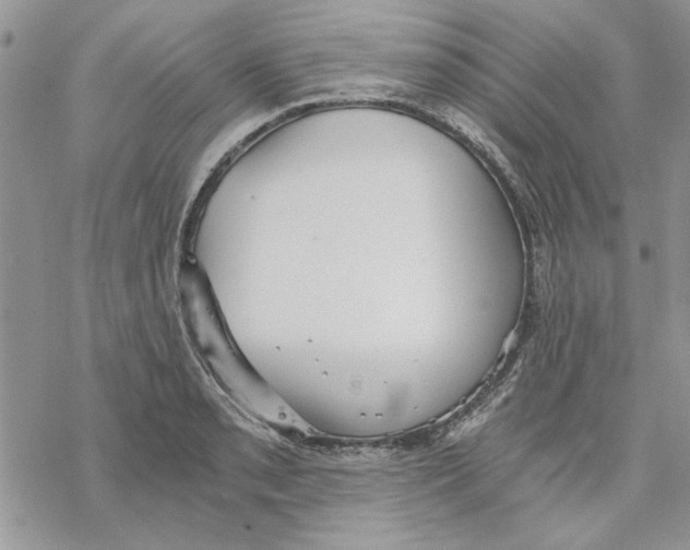 X0000069831085200606091440