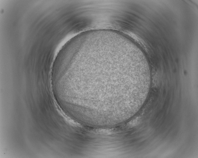 X0000069831086200606091440