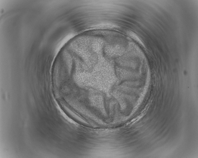 X0000069831087200606091440