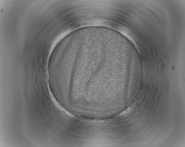 X0000069831088200606091440