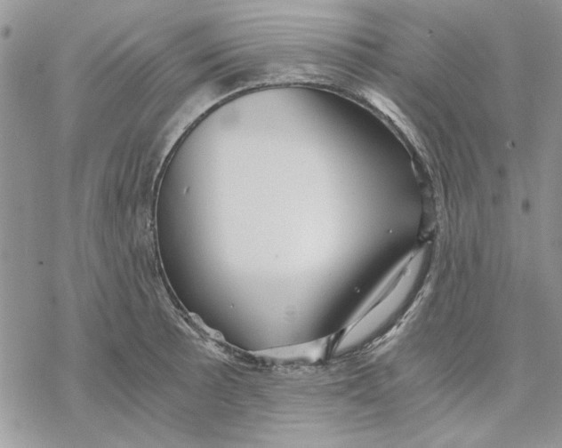 X0000069831089200606091440