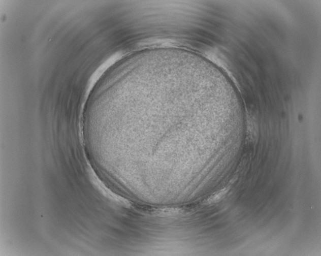 X0000069831090200606091440