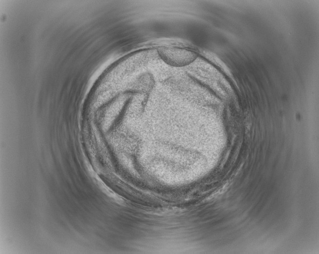 X0000069831091200606091440