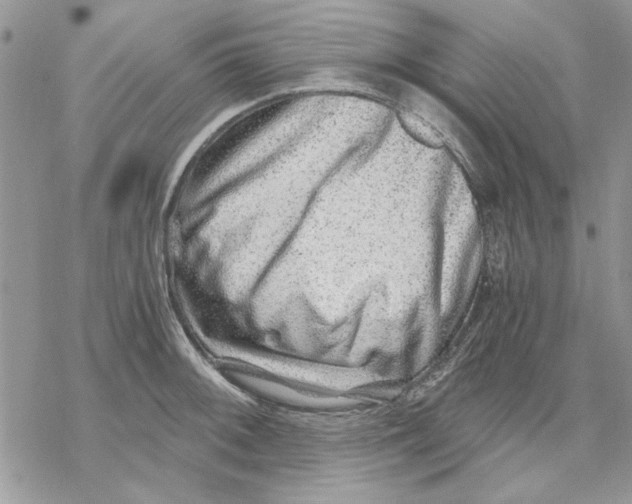 X0000069831092200606091440