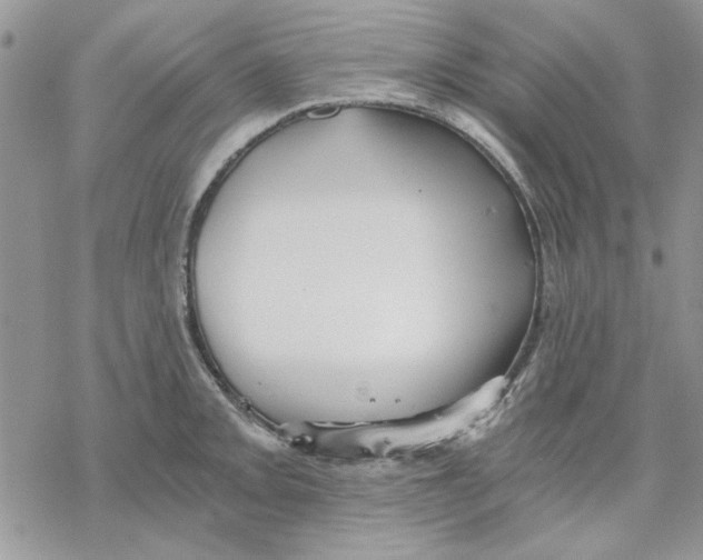 X0000069831093200606091440