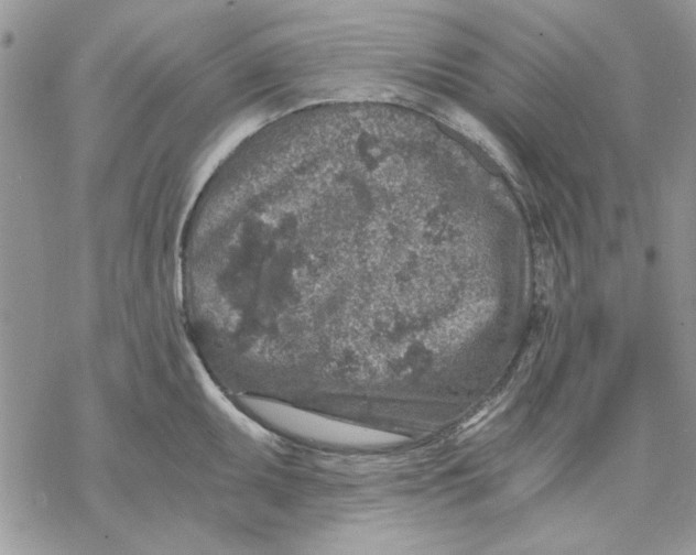 X0000069831095200606091440