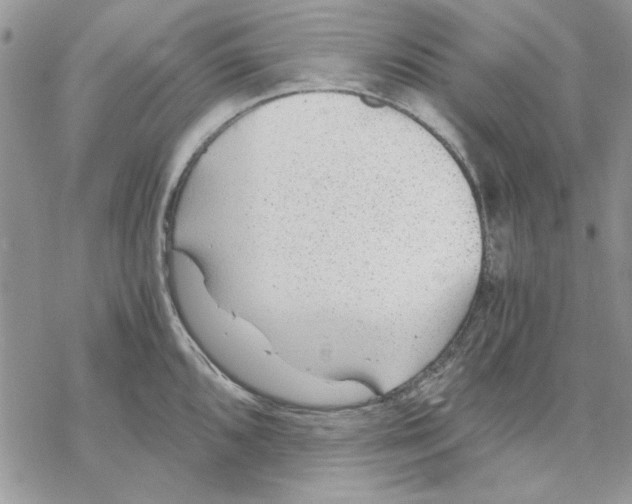 X0000069831096200606091440