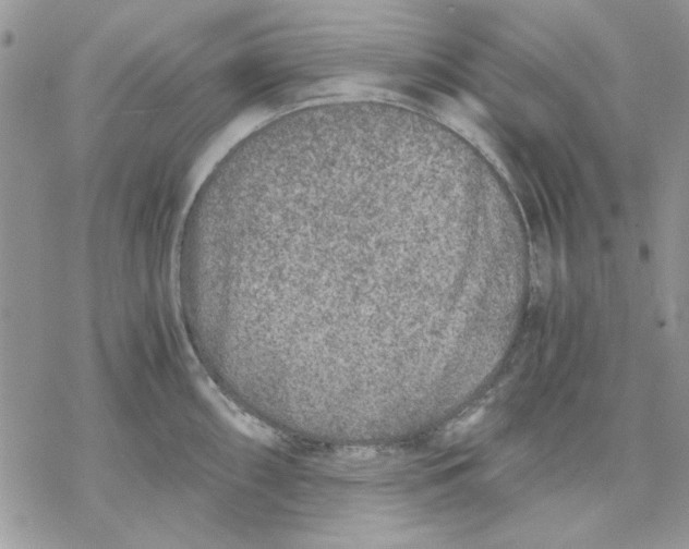 X0000069831098200606091439