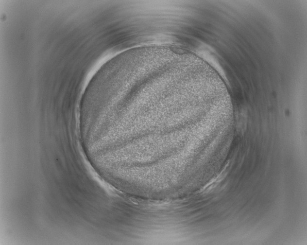 X0000069831099200606091439