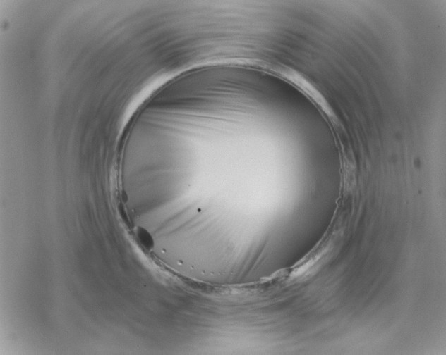 X0000069831101200606091439