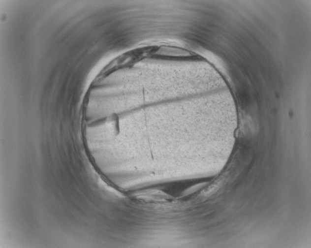 X0000069831102200606091439