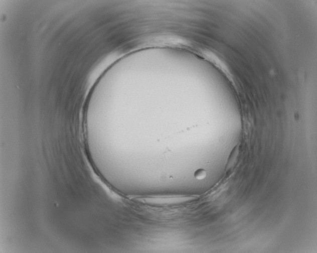 X0000069831103200606091439