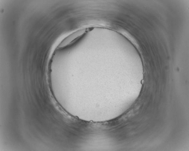 X0000069831104200606091439