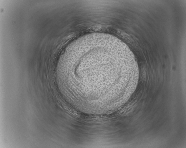 X0000069831105200606091439