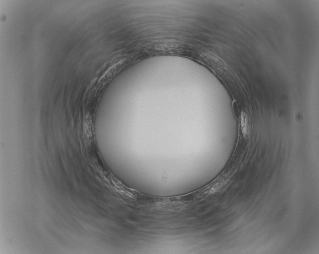 X0000069831107200606091439